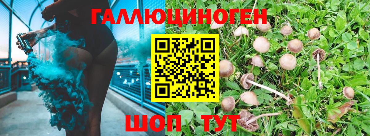 купить  сайты  Псилоцибиновые грибы прущие грибы  Вход с VPN  Новодвинск 