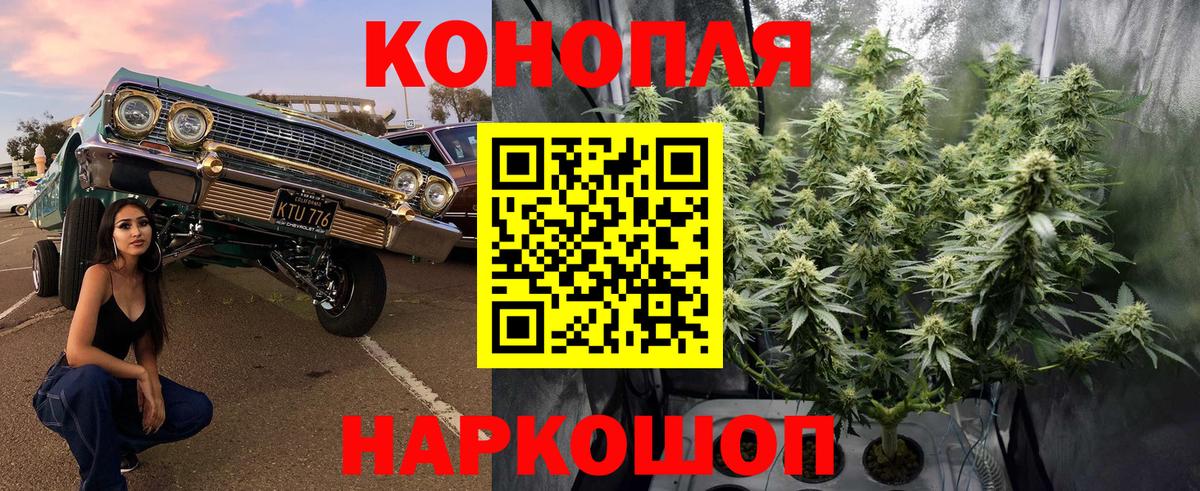 Шишки марихуана сатива  Вход с VPN  Каннабис конопля  Конопля AK-47  Новодвинск 